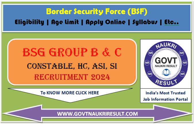  BSF Group B and C Various Post Online Form 2024  