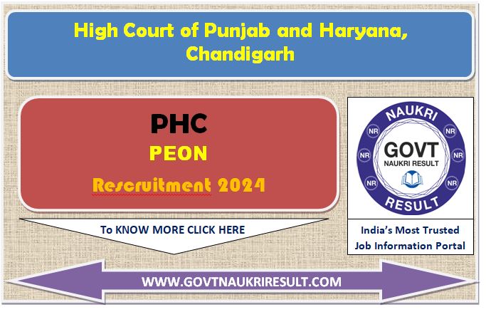  Punjab and Haryana High Court Peon Online Form 2024  